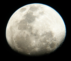 lua1 (1)